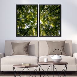 Kit Quadros Decorativos Natureza Árvores Vista